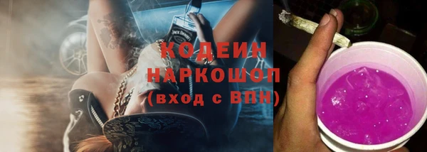 хмурый Белокуриха