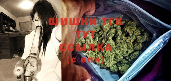 хмурый Белокуриха
