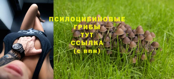 кокс Баксан