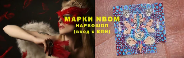 хмурый Белокуриха